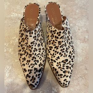 Leopard mules